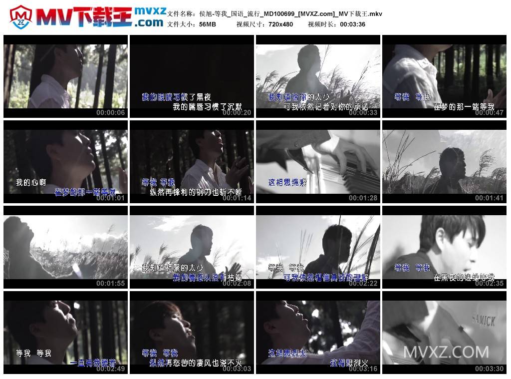 侯旭-等我_国语_流行_MD100699
